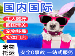 赤峰玉龙航空运输国际宠物托运 【国